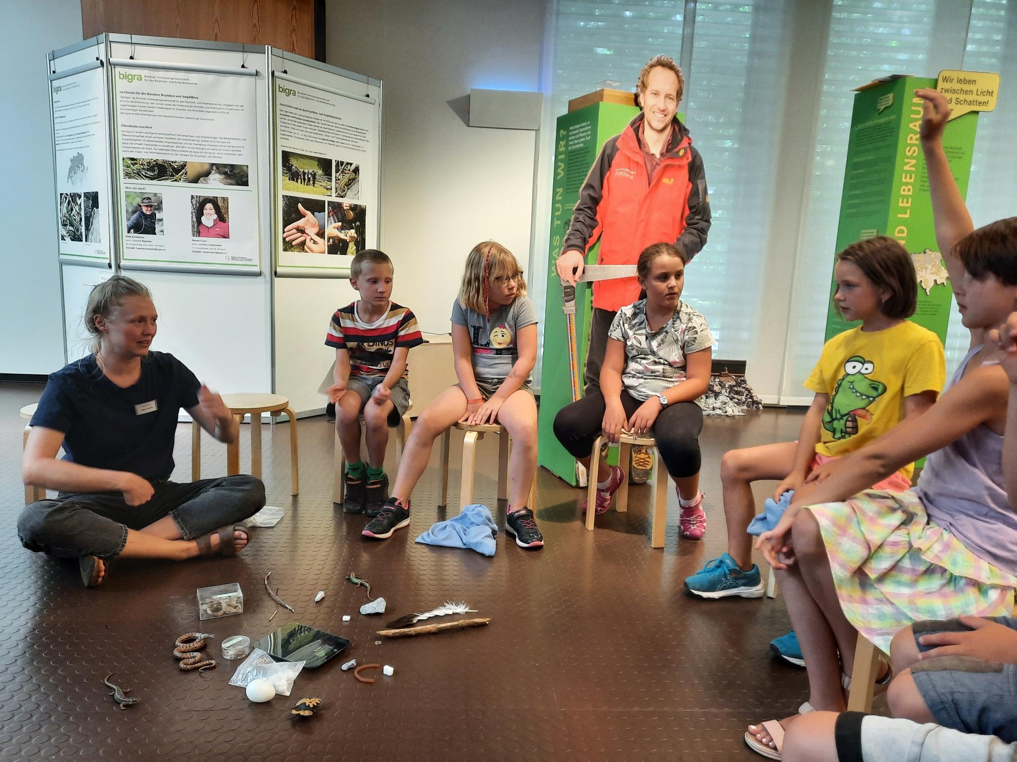 Eidechsen Naturkundemuseum