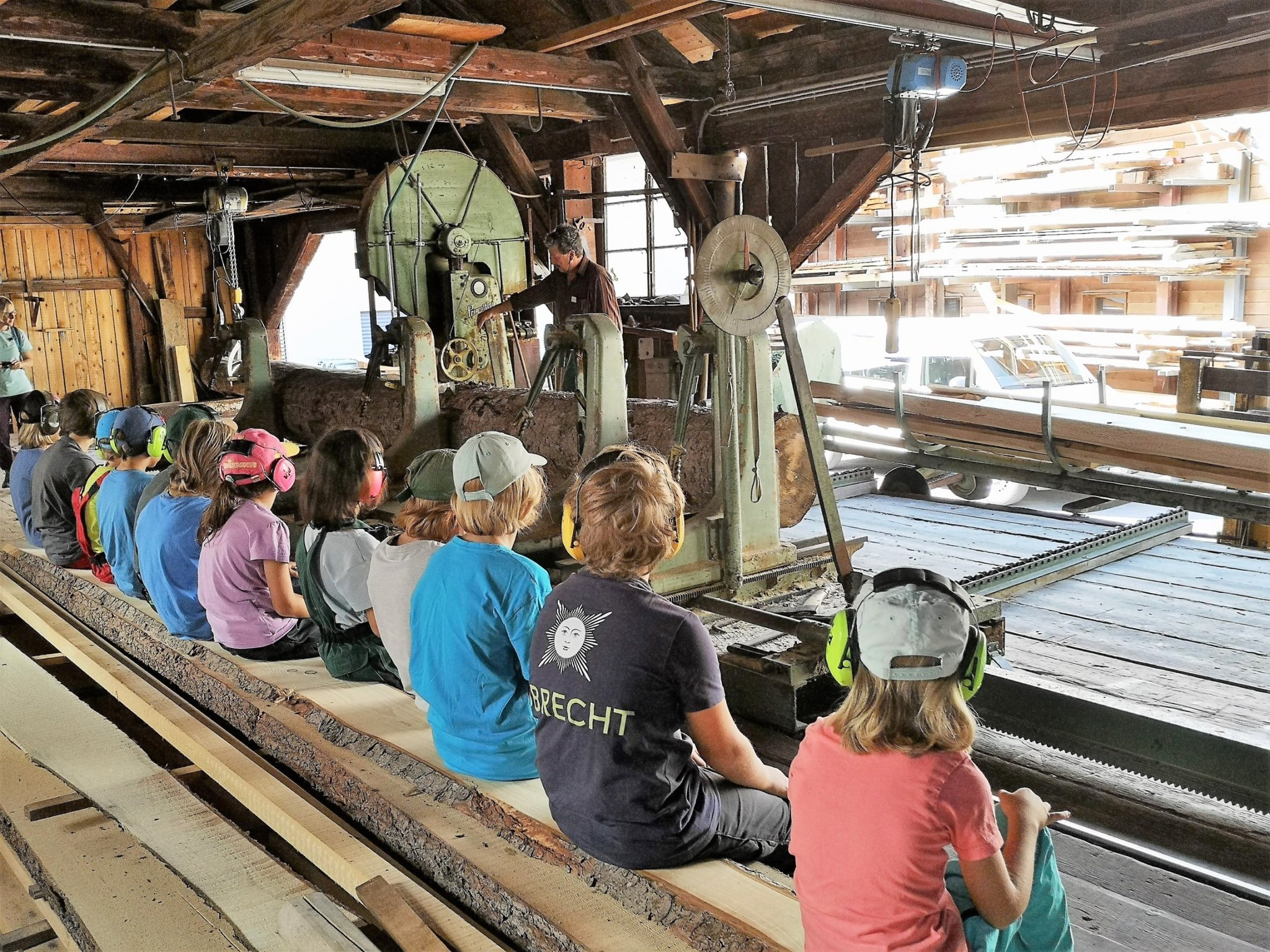 Aus dem Wald ins Wohnzimmer